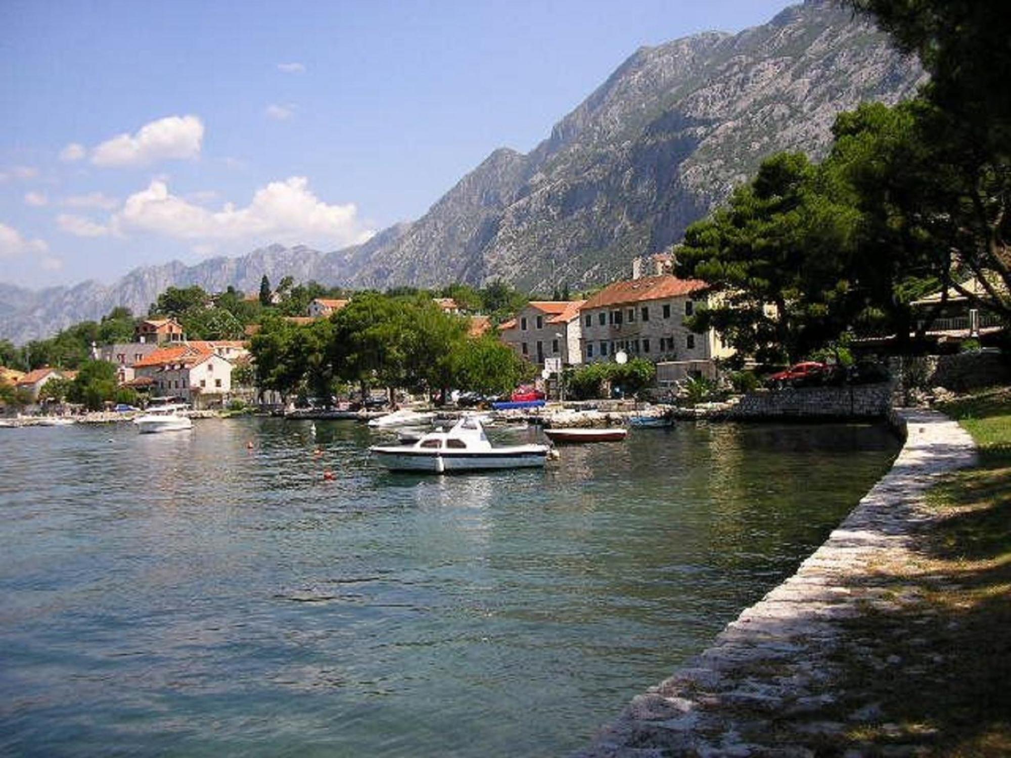Apartments Vojvoda Kotor Exterior photo